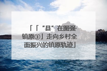 「“县”在图强·镇原③」走向乡村全面振兴的镇原轨迹