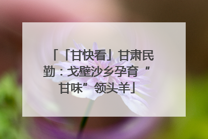 「甘快看」甘肃民勤：戈壁沙乡孕育“甘味”领头羊