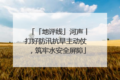 「地评线」河声丨打好防汛抗旱主动仗，筑牢水安全屏障