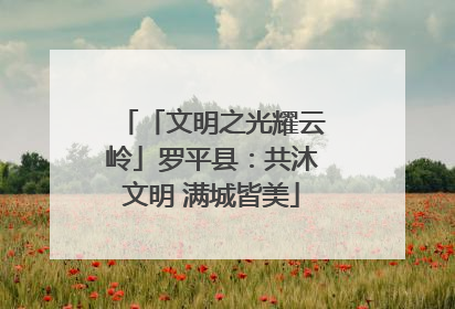 「文明之光耀云岭」罗平县：共沐文明 满城皆美