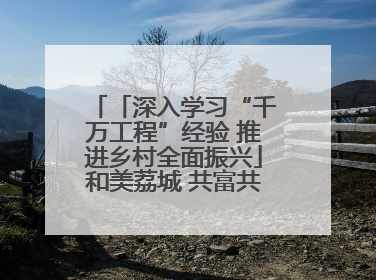 「深入学习“千万工程”经验 推进乡村全面振兴」和美荔城 共富共美 荔城区扎实推进乡村振兴工作