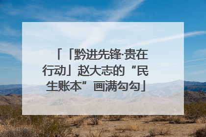 「黔进先锋·贵在行动」赵大志的“民生账本”画满勾勾