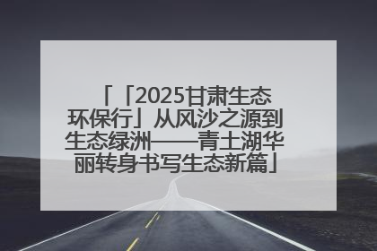 「2025甘肃生态环保行」从风沙之源到生态绿洲——青土湖华丽转身书写生态新篇