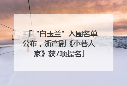 “白玉兰”入围名单公布，浙产剧《小巷人家》获7项提名