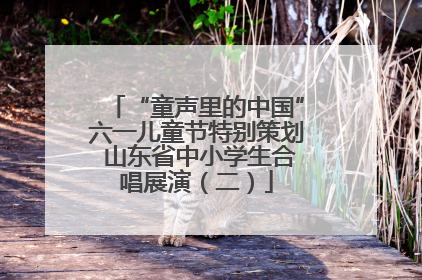“童声里的中国”六一儿童节特别策划 山东省中小学生合唱展演（二）