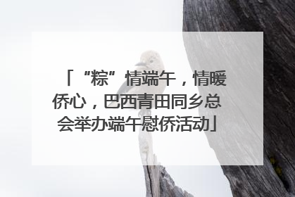 “粽”情端午，情暖侨心，巴西青田同乡总会举办端午慰侨活动