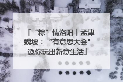 “粽”情洛阳丨孟津魏坡：“有意思大会”邀你玩出新意生活