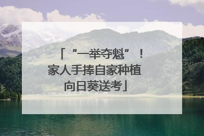 “一举夺魁”！家人手捧自家种植向日葵送考