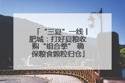 “三夏”一线丨肥城：打好夏粮收购“组合拳” 确保粮食颗粒归仓