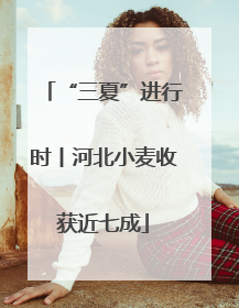 “三夏”进行时丨河北小麦收获近七成