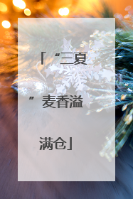 “三夏”麦香溢满仓