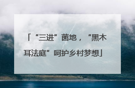 “三进”菌地，“黑木耳法庭”呵护乡村梦想