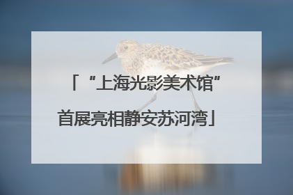 “上海光影美术馆”首展亮相静安苏河湾