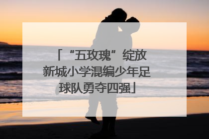“五玫瑰”绽放 新城小学混编少年足球队勇夺四强