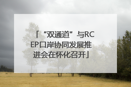 “双通道”与RCEP口岸协同发展推进会在怀化召开