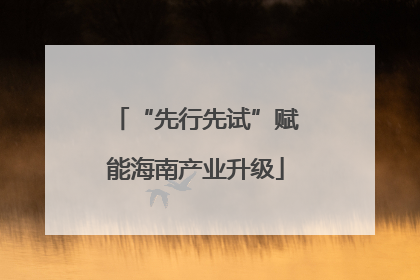 “先行先试”赋能海南产业升级