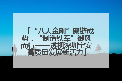 “八大金刚”聚链成势，“制造铁军”御风而行——透视深圳宝安高质量发展新活力
