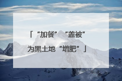 “加餐”“盖被” 为黑土地“增肥”