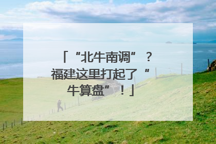 “北牛南调”？福建这里打起了“牛算盘”！
