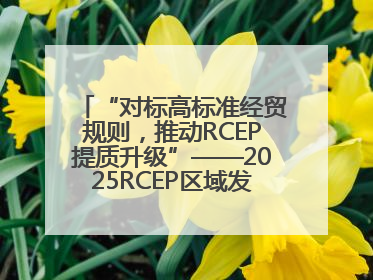 “对标高标准经贸规则，推动RCEP提质升级”——2025RCEP区域发展媒体智库论坛举行专题对话