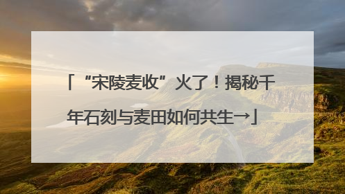 “宋陵麦收”火了！揭秘千年石刻与麦田如何共生→