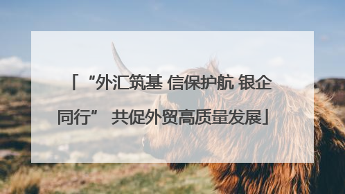 “外汇筑基 信保护航 银企同行” 共促外贸高质量发展