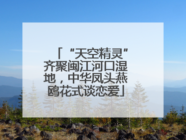 “天空精灵”齐聚闽江河口湿地，中华凤头燕鸥花式谈恋爱