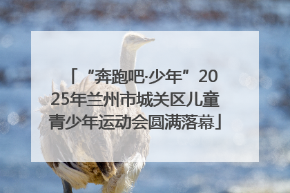 “奔跑吧·少年”2025年兰州市城关区儿童青少年运动会圆满落幕