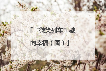 “微笑列车”驶向幸福（图）