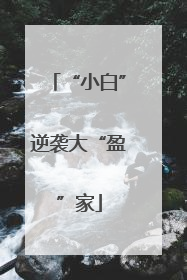 “小白”逆袭大“盈”家