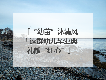 “幼苗”沐清风！这群幼儿毕业典礼献“红心”