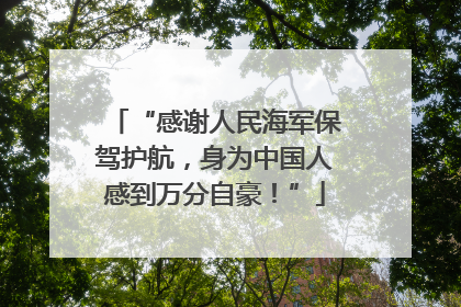 “感谢人民海军保驾护航，身为中国人感到万分自豪！”