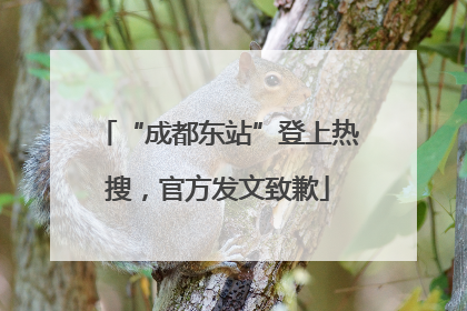 “成都东站”登上热搜，官方发文致歉
