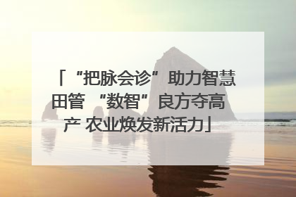 “把脉会诊”助力智慧田管 “数智”良方夺高产 农业焕发新活力