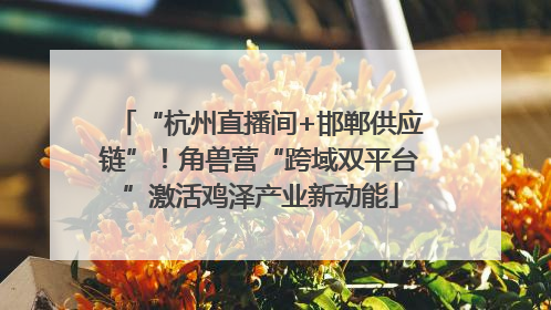 “杭州直播间+邯郸供应链”！角兽营“跨域双平台”激活鸡泽产业新动能