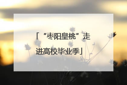 “枣阳皇桃”走进高校毕业季