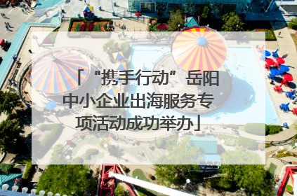 “携手行动”岳阳中小企业出海服务专项活动成功举办