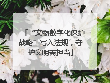 “文物数字化保护战略”写入法规，守护文明需担当