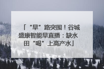 “旱”路突围！谷城盛康智能旱直播：缺水田“喝”上高产水