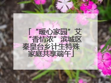 “暖心家园”艾“香情浓”滨城区秦皇台乡计生特殊家庭共享端午