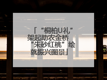 “桐柏U礼”架起助农金桥 “朱砂红桃”绘就振兴图景