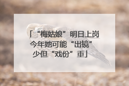 “梅姑娘”明日上岗 今年她可能“出镜”少但“戏份”重