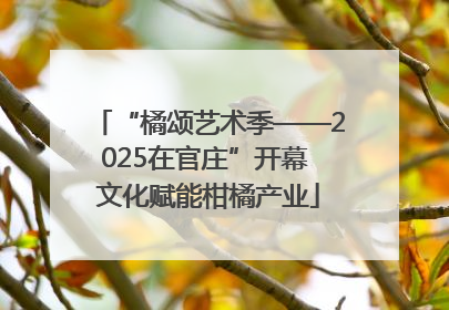 “橘颂艺术季——2025在官庄”开幕 文化赋能柑橘产业