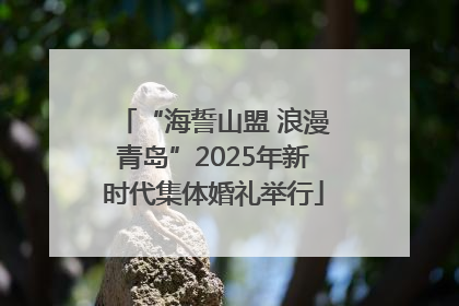 “海誓山盟 浪漫青岛”2025年新时代集体婚礼举行