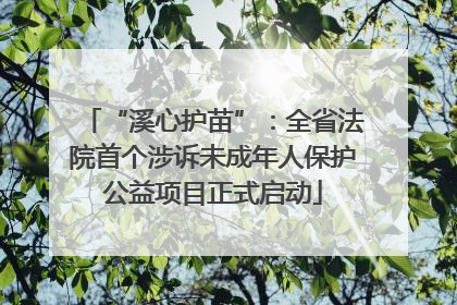 “溪心护苗”：全省法院首个涉诉未成年人保护公益项目正式启动