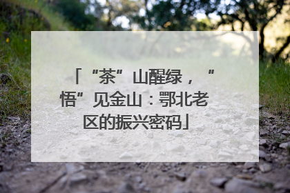 “茶”山醒绿，“悟”见金山：鄂北老区的振兴密码