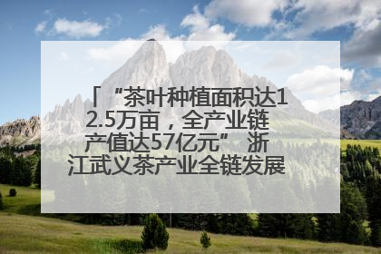 “茶叶种植面积达12.5万亩，全产业链产值达57亿元” 浙江武义茶产业全链发展“加速度”