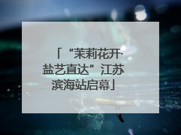 “茉莉花开·盐艺直达”江苏滨海站启幕
