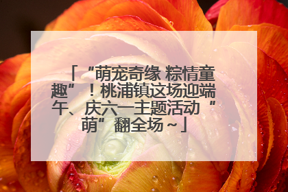 “萌宠奇缘 粽情童趣”！桃浦镇这场迎端午、庆六一主题活动“萌”翻全场～