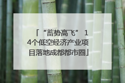 “蓄势高飞” 14个低空经济产业项目落地成都都市圈